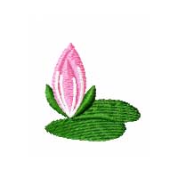 Feng Shui Rainbow Gold Fish Machine Embroidery Designs