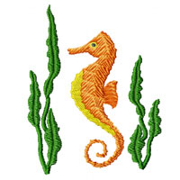 Sea Horse Machine Embroidery Design