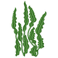 Seaweed Machine Embroidery Design