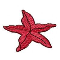Sea Star Machine Embroidery Design