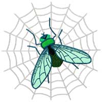Spiders Machine Embroidery Designs