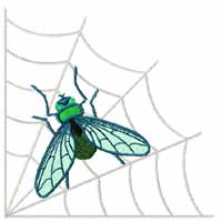 Spiders Machine Embroidery Designs