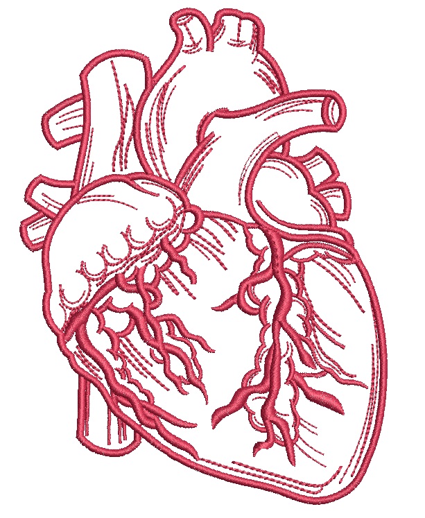 realistic Human Heart