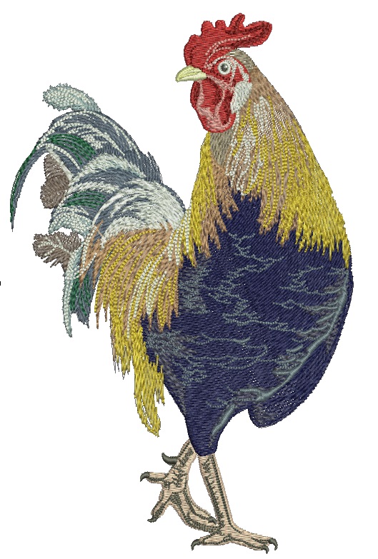 rooster  Machine Embroidery Design
