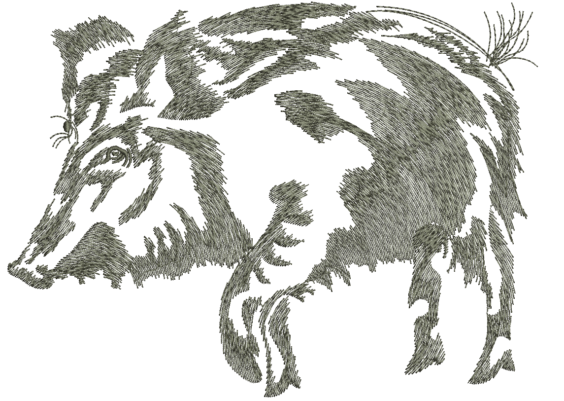 wild boar mashine embroidery design 01