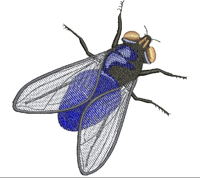 realistic  fly Machine Embroidery Designs 14052025