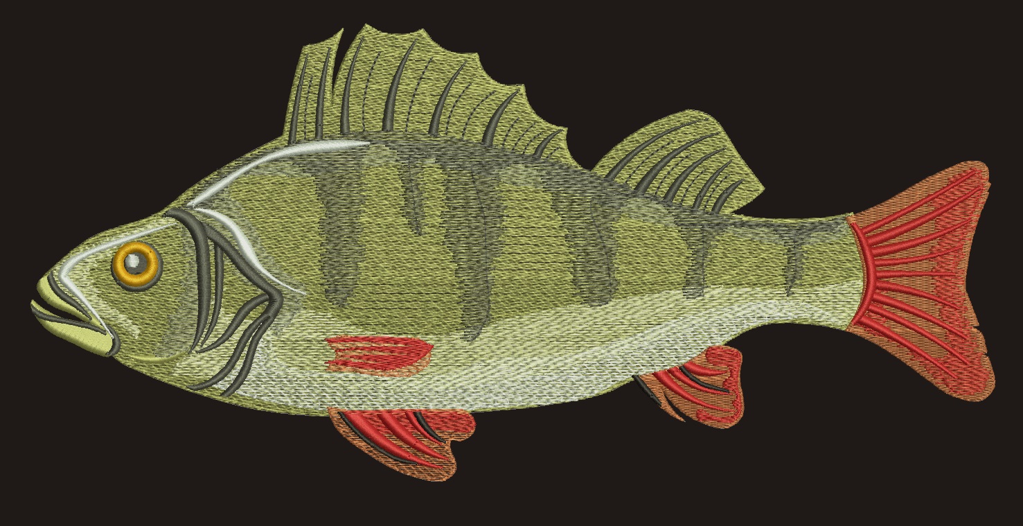 bass fish perch Machine Embroidery Design instant download 