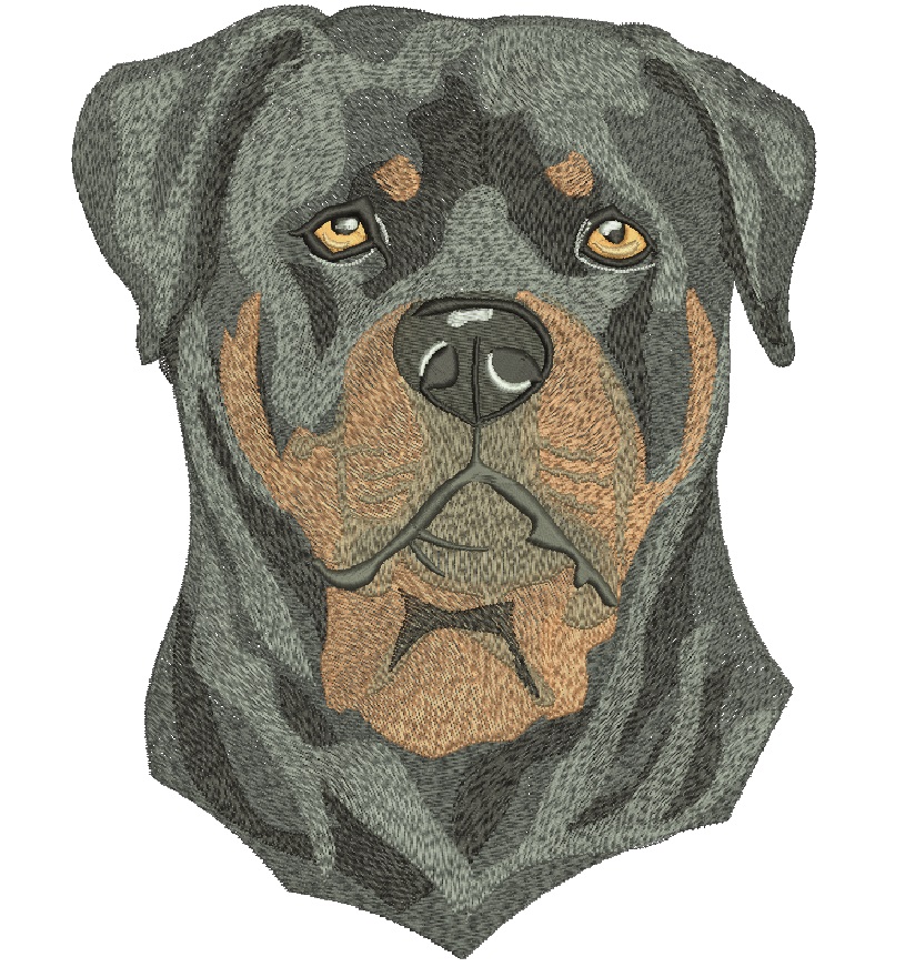rottweiler Machine Embroidery Design 