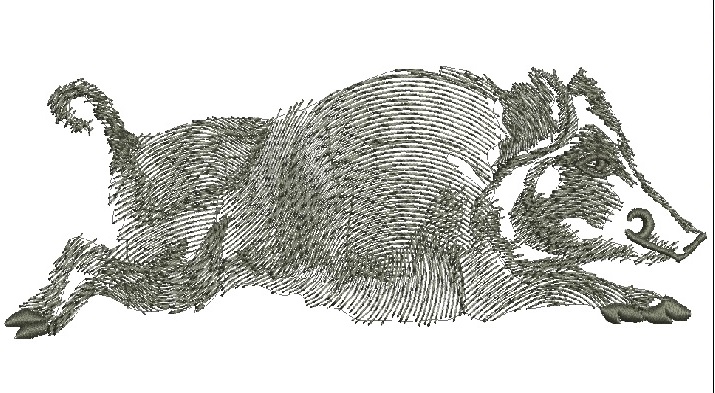 Wild boar Embroidery Machine Embroidery Design, Instant Download including cap size 