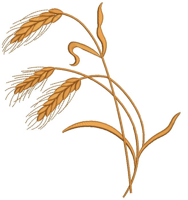 SET Two kinds  of spikelets Machine Embroidery Designs