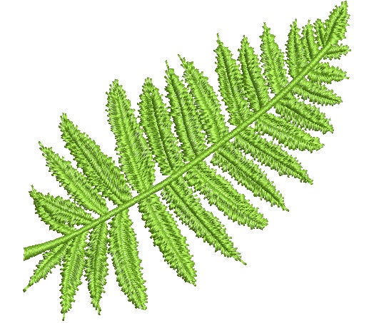 Fern leaf  machine embroidery design - Instant Download 