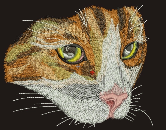 Cat  Machine Embroidery Designs - tested 