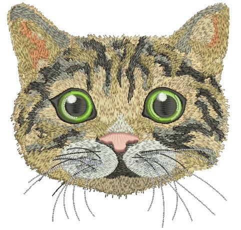 Cat Machine Embroidery Design Instant Download Digital File 