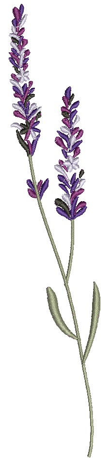 Lavender Machine Embroidery Design / Wild Forest Garden Flowers 