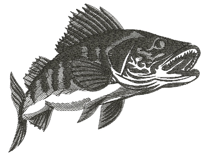 Zander fish machine embroidery design – monochrome 