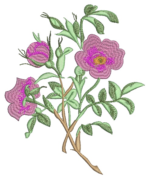 Rosehips Machine Embroidery Design Set  