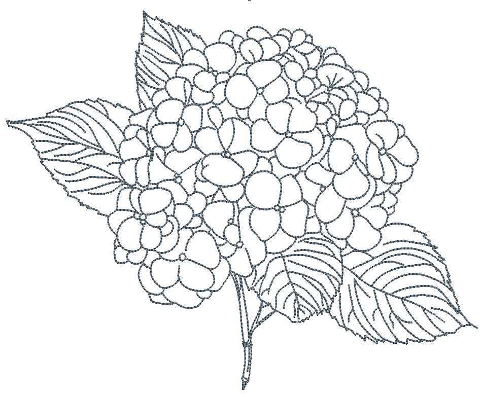 Hydrangea Machine Embroidery Design