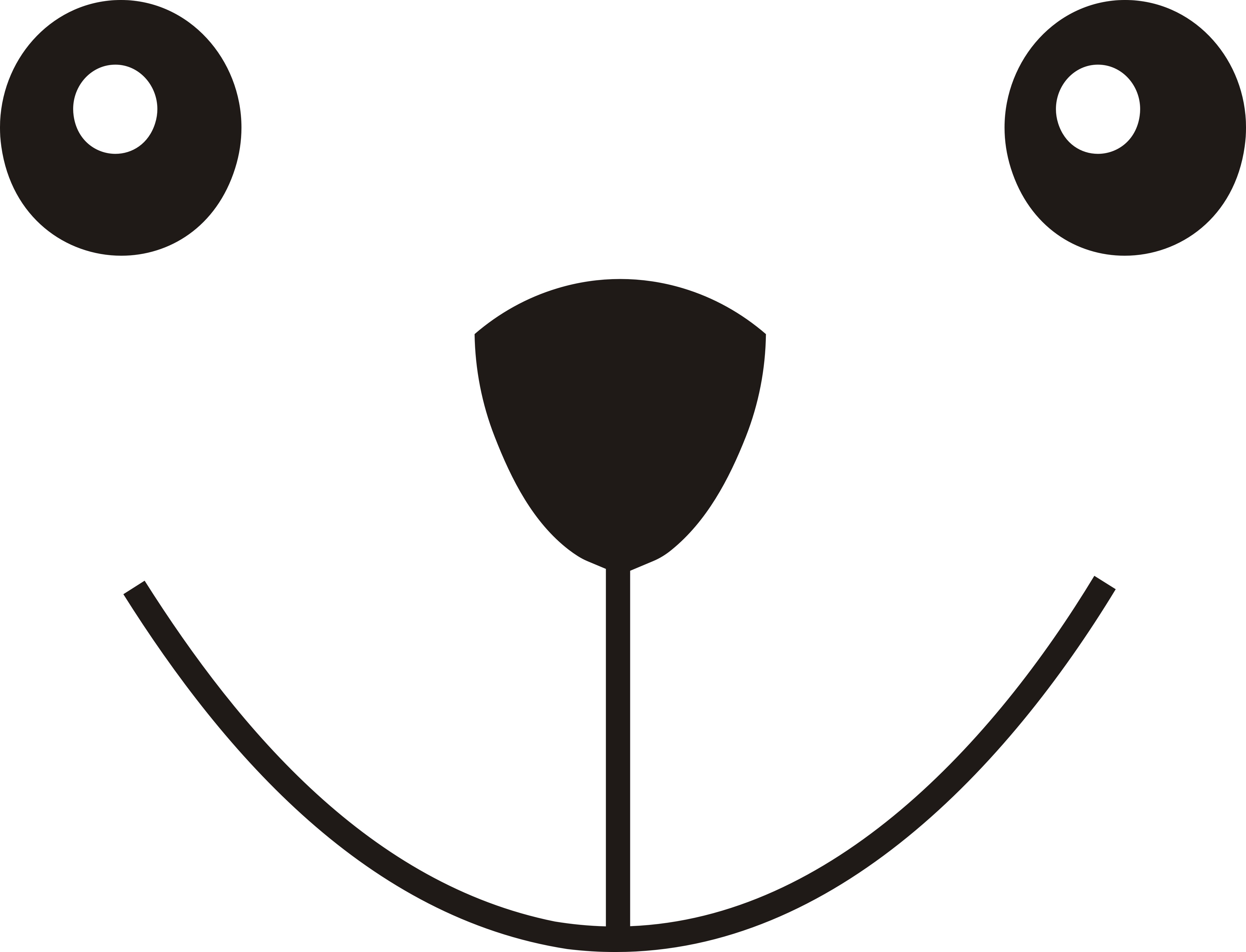 Teddy bear muzzle  vector SVG. dxf, PNG. EPS. jpg big size 300 dpi 