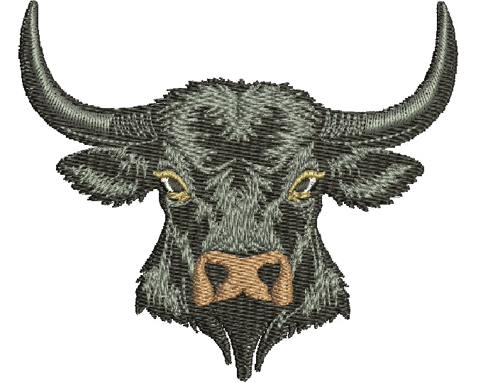 Cow Bull Buffalo Machine Embroidery Design05082025
