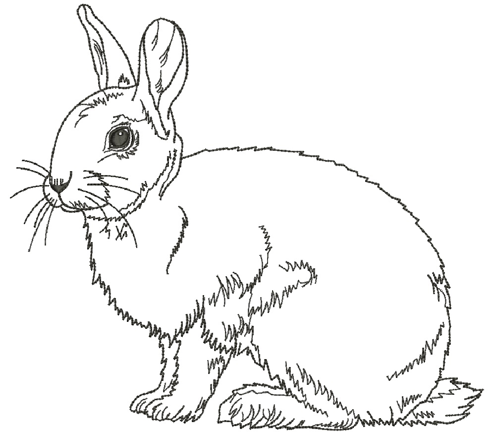 Rabbit embroidery, low stitch count design  