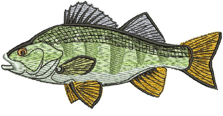 Perch Bass Fish Machine Embroidery Designs 