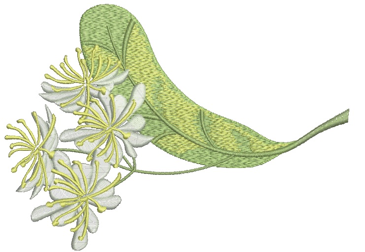 Linden Flower and Leaf Machine Embroidery Design 22102025
