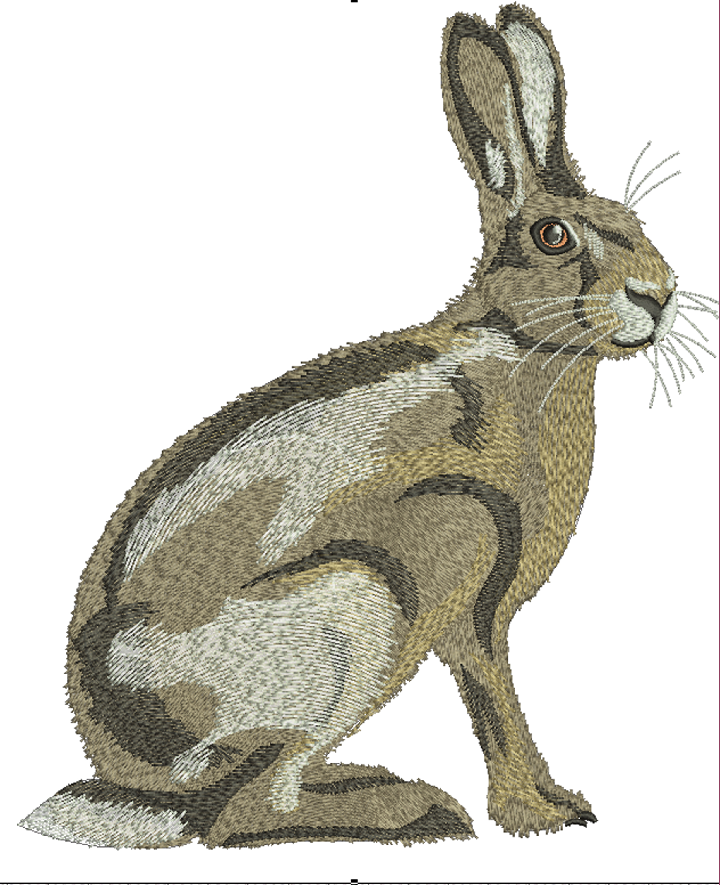 Wild Hare Machine Embroidery Design – Low Stitch Count Rabbit 