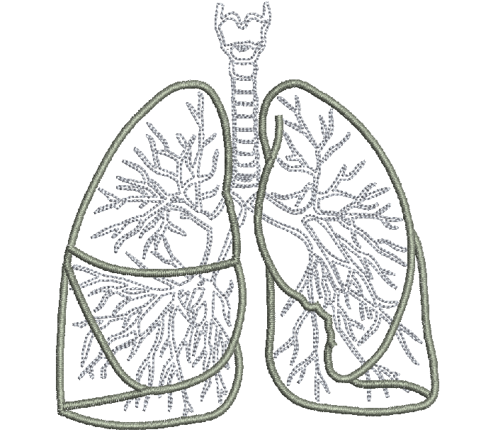 Realistic Lungs Respiratory System Machine Embroidery Design for Medical Projects and Anatomy 