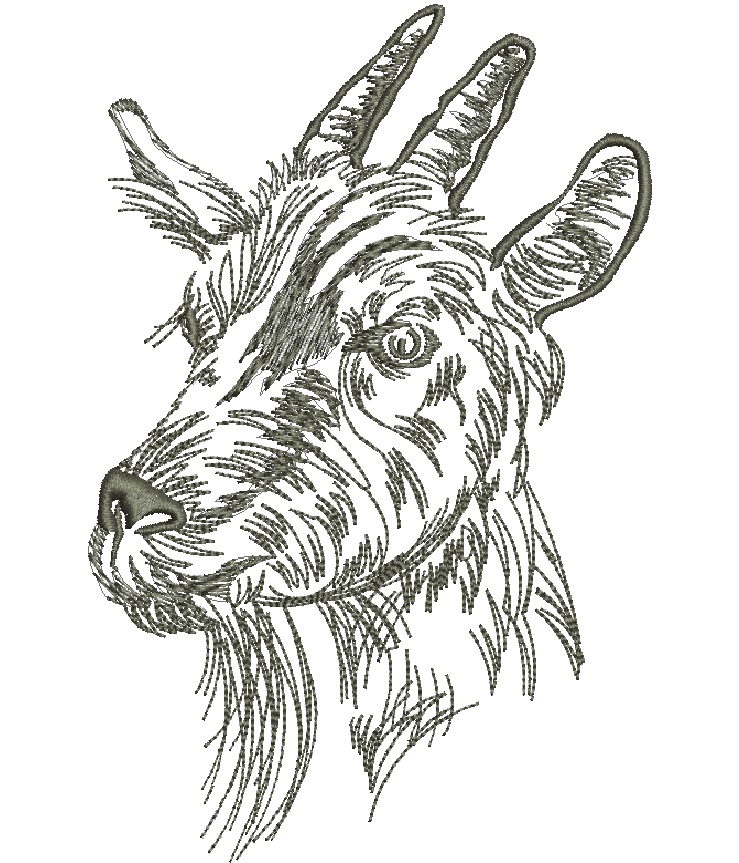 Goat Head Machine Embroidery Design 