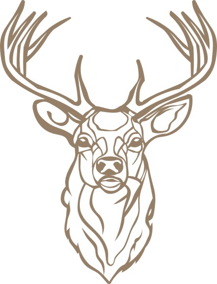 Buck Head Deer  SVG. dxf, PNG. EPS. jpg big size 300 dpi files17012026