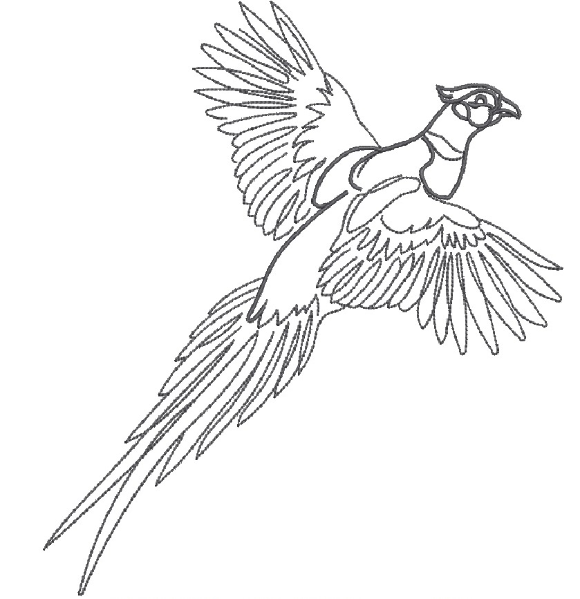 Flying Pheasant Line Art Machine Embroidery Design 