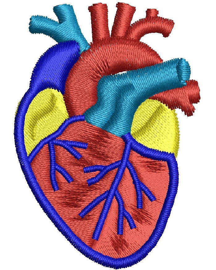 Anatomical Heart Machine Embroidery Design, Realistic Heart Cap and Hat Embroidery File, Medical Biology Embroidery Digital Design  