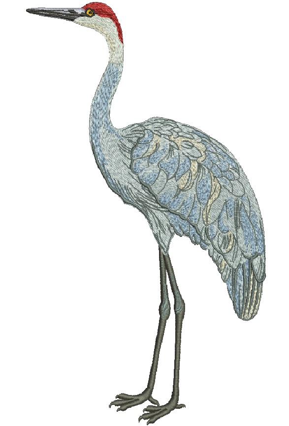 Red-Crowned Crane Machine Embroidery Design, Majestic Asian Bird Digital File 