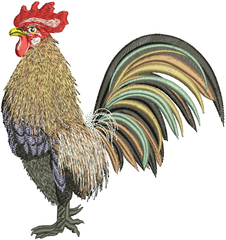 Rooster Machine Embroidery Design, Farmhouse Cockerel Digital File 