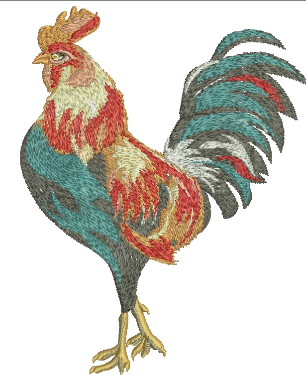 Rooster Machine Embroidery Design, Colorful Country Cockerel Digital File