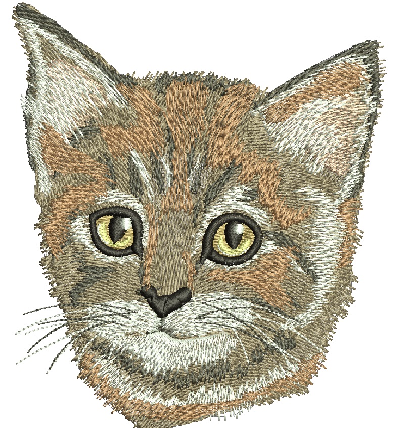 Tabby Cat Face Machine Embroidery Design, Kitty Pocket Peeker Digital File 