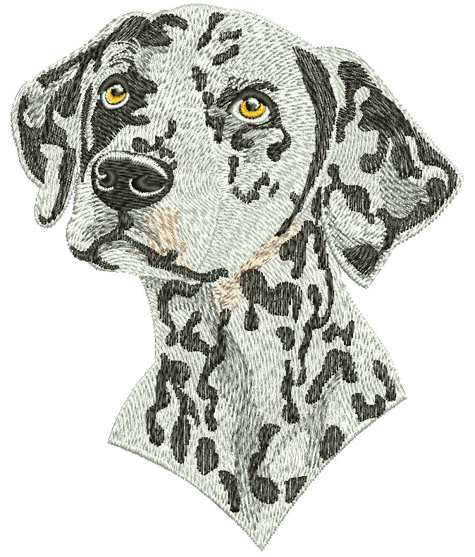 Dalmatian Dog Head Machine Embroidery Design, Spotted Dog Portrait Digital File 