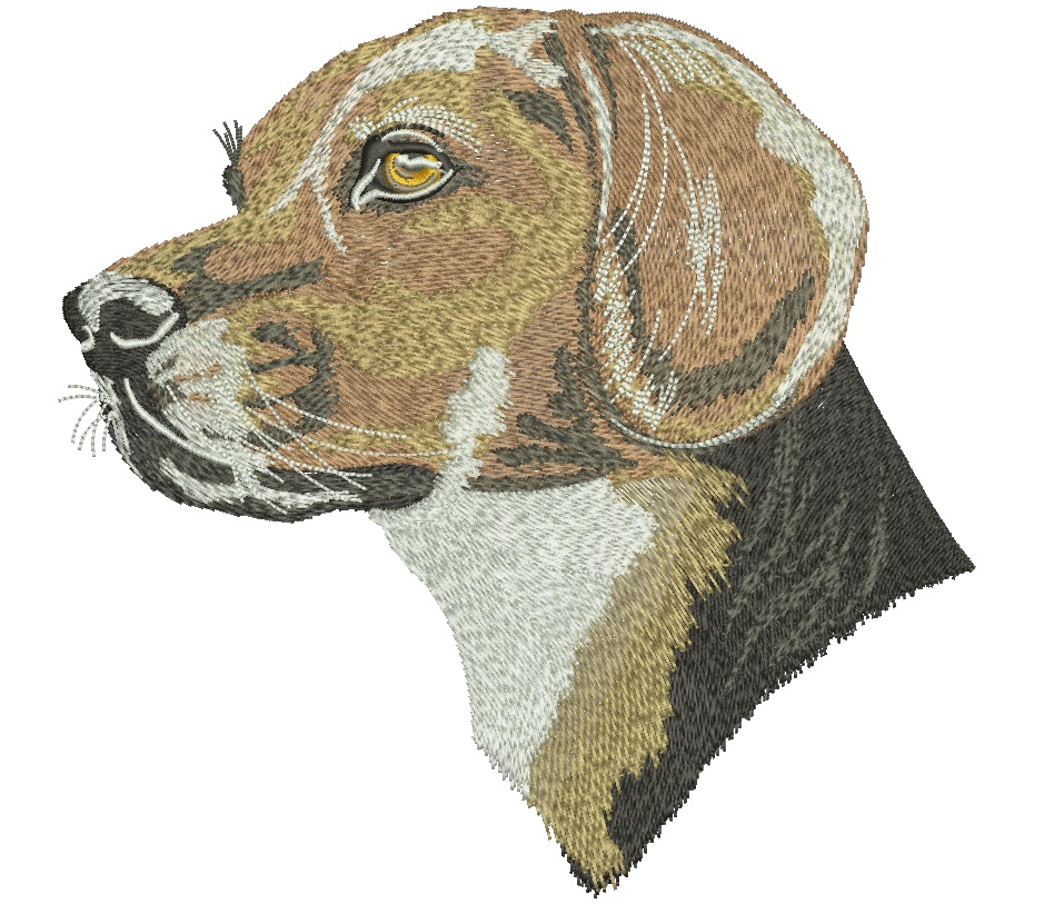 Beagle Dog Portrait Machine Embroidery Design, Hunting Dog Head Digital File 