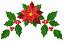 Poinsettia Arc, Stitches: 29360,  Size: 7.35 x 4.58,  Colors: 4