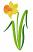 Daffodil, Size: 3.41 x 6.98,  Stitches: 12880,  Colors: 5