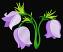 Pasque Flower,  Size: 6.33 x 4.98, Stitches: 21280,  Colors: 7