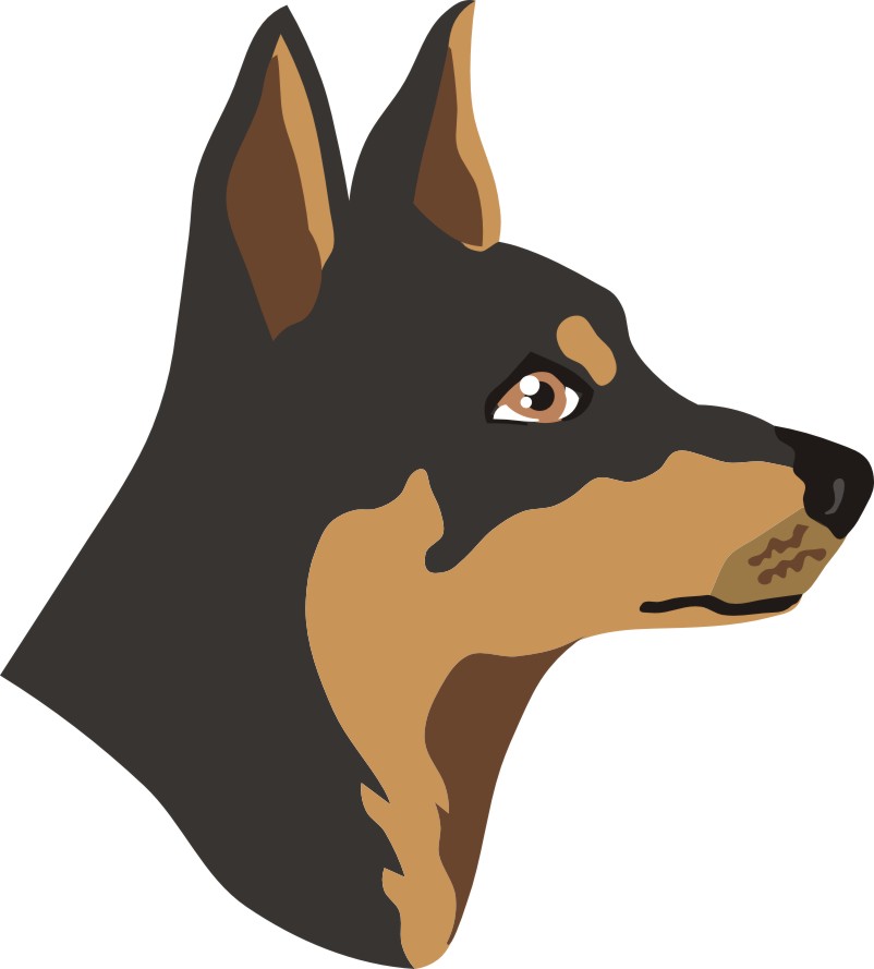 Australian working kelpie  SVG. dxf, PNG. EPS. jpg big size 300 dpi 