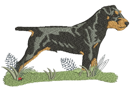 German Jagdterrier Dog Machine Embroidery Design