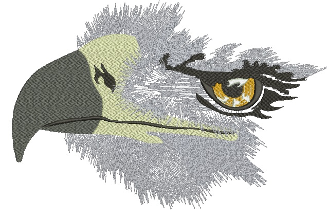 Big eagle  Embroidery Machine Embroidery Design, Instant Download 