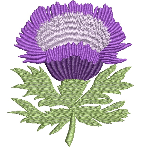 Scotch Thistle Flower  Scottish thistle machine embroidery design/ letters not included 