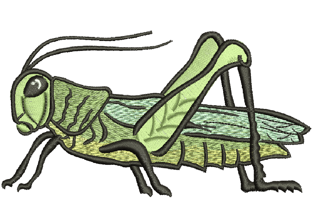 Realistic Grasshopper, Grasshopper Embroidered Iron on Patch. Machine Embroidery Design, Instant Download  