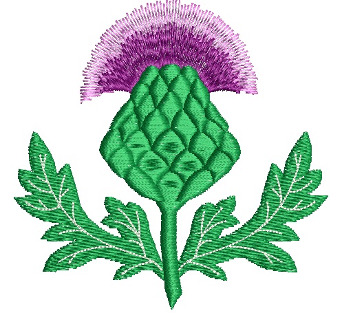 Thistle emblem of Scotland machine embroidery design/ letters not included 