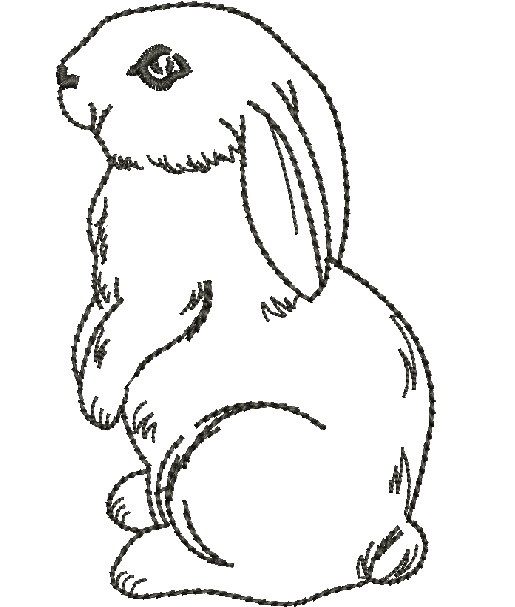 Bunny Machine Embroidery Designs, instantly download 