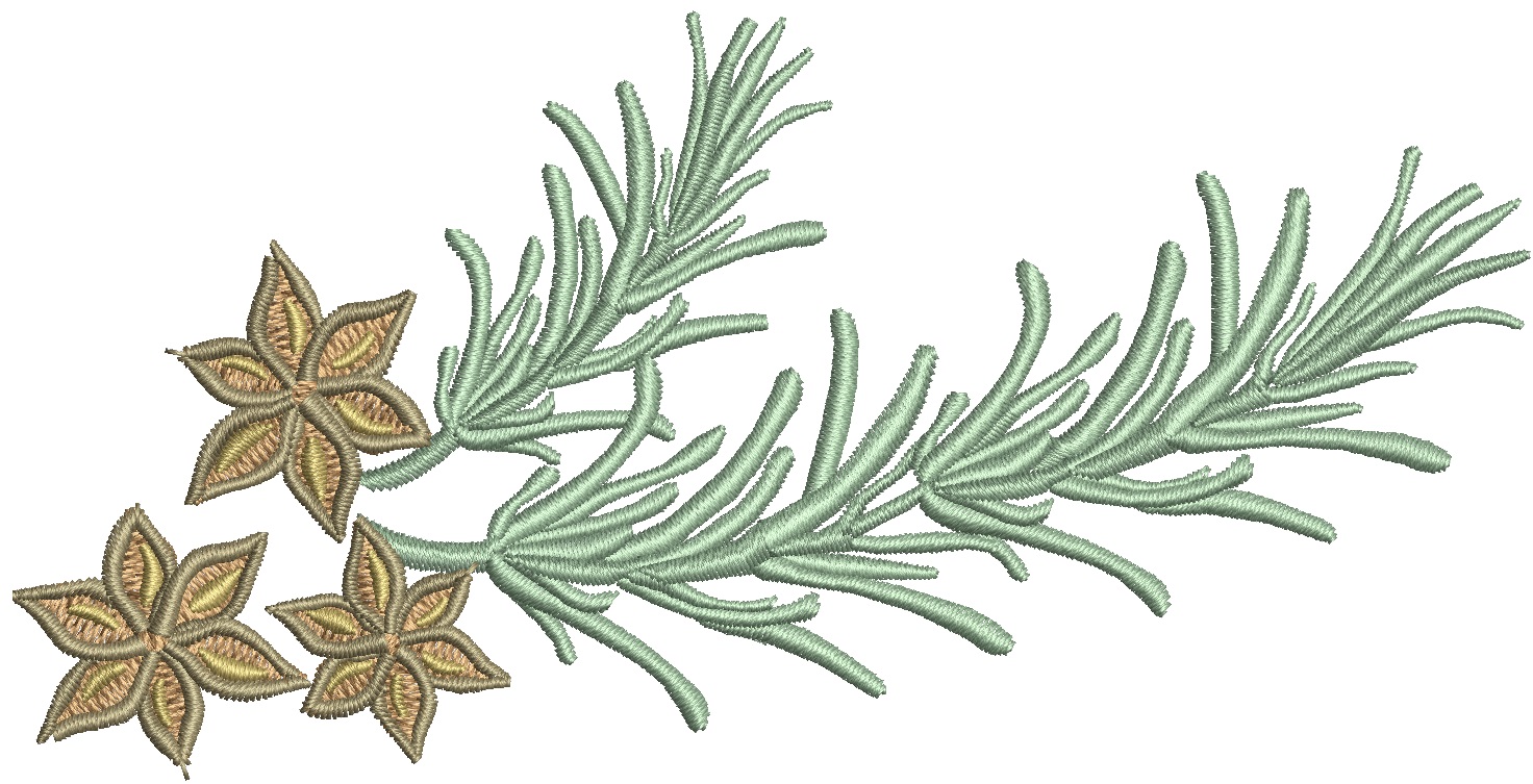 Rosemary branches and anise