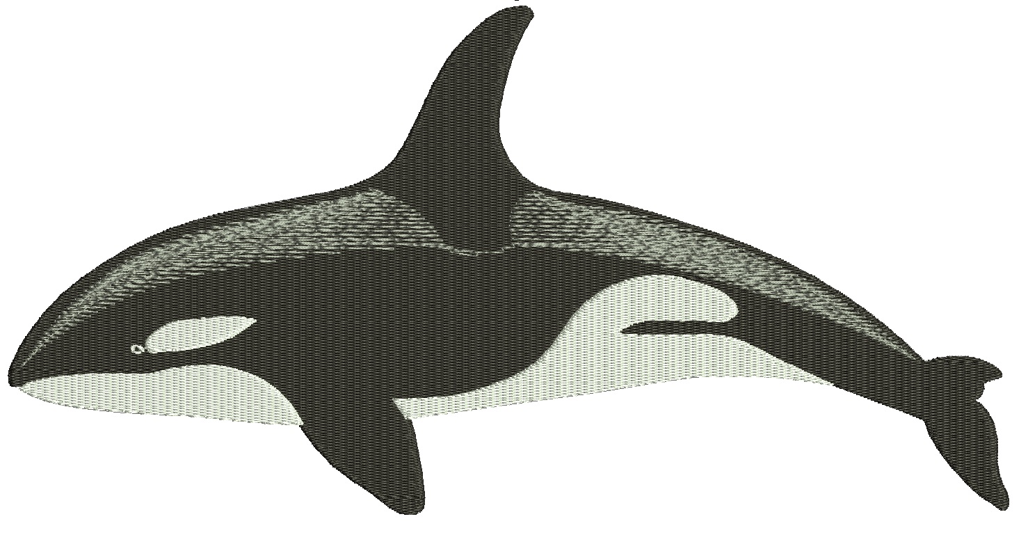 Killer whale machine embroidery designs